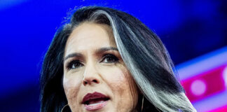 ormer Representative Tulsi Gabbard of Hawaii delivered a stark warning at CPAC about the existential threat facing American democracy. Credit: Michael Brochstein/Rex/Shutterstock