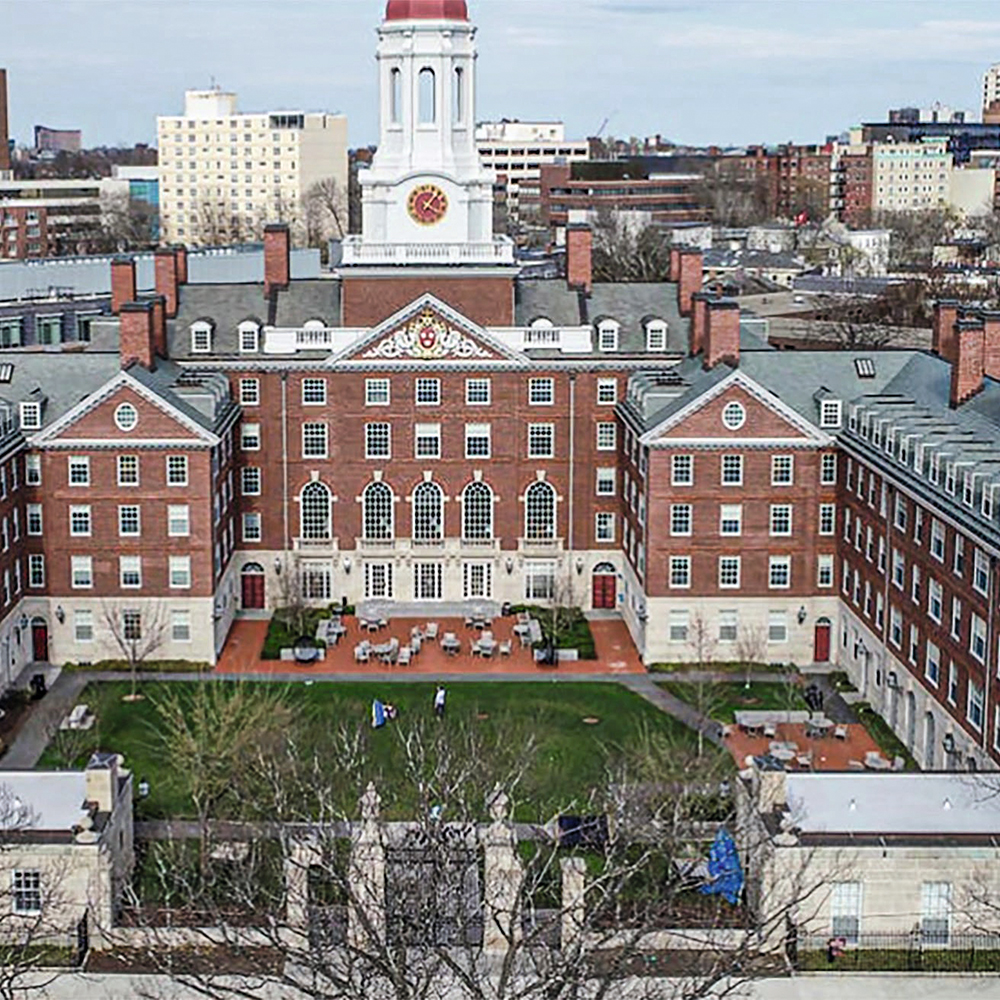 Are Ivy League degrees becoming a disadvantage for job seekers?