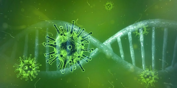 Virus DNA matches code patented by Moderna 3 years before pandemic - The Jewish Voice