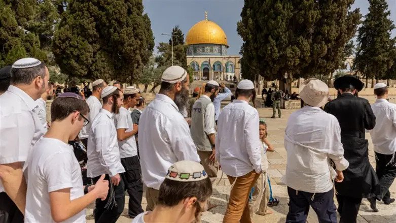 Over 1,700 Jews Ascend Temple Mount On Tisha B'av - The Jewish Voice