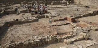 Historical findings discovered in the ancient city of Phanagoria include an ark, a podium for reading the Torah, and seven-branched candlesticks.