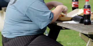 The Growing Obesity Epidemic in the US: Alarming Trends and Urgent Calls for Action