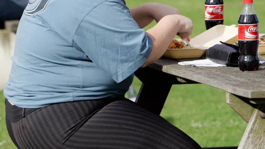 The Growing Obesity Epidemic in the US: Alarming Trends and Urgent Calls for Action