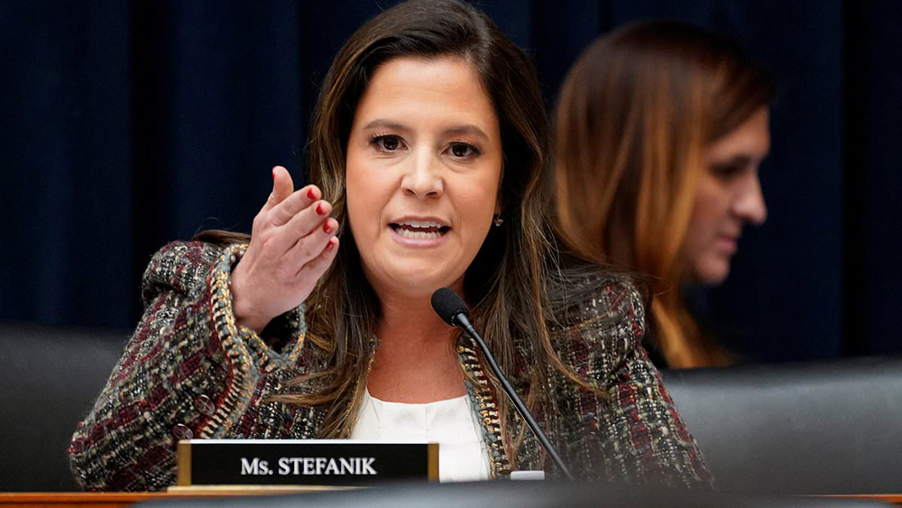 Stefanik