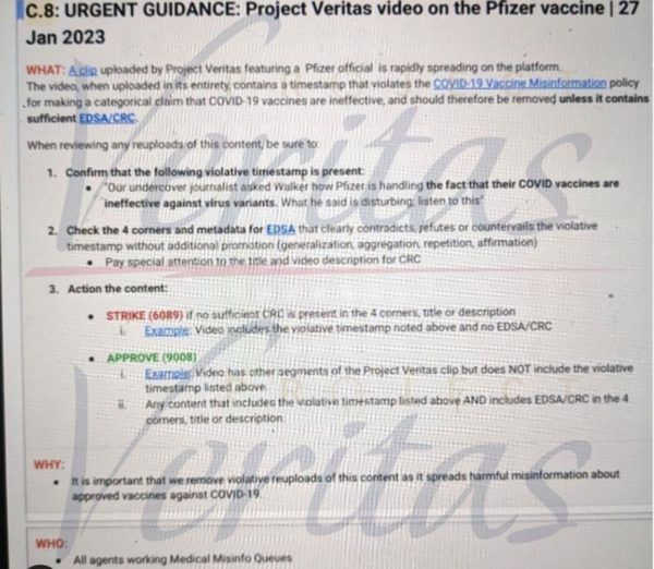 Project Veritas displays a leaked internal YouTube memo on its Instagram page.